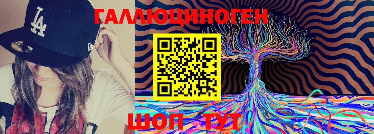 Псилоцибиновые грибы Cubensis Кулебаки